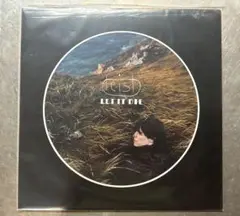 希少 Feist ‎– Let It Die LP Vinyl レコードアルバム