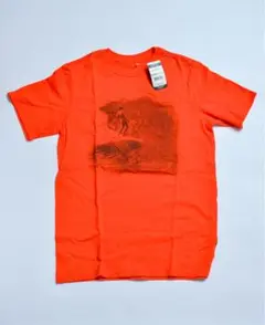 patagonia boy's Lサイズ パタゴニア tシャツ