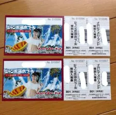 2026年最新】ナガシマ 特別入場券の人気アイテム - メルカリ