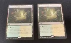 MTG ダスクモーン DSK フラッドファームの境界 英語 Foil - メルカリ