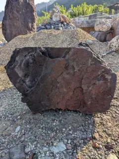山盛り　11kg 白亜紀の化石セット　/恐竜　自由研究 山盛り 11kg 白亜紀の化石セット /恐竜 自由研究 - メルカリ