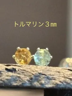 移民タソ⭐️3/23～3/25出張様 リクエスト 2点 まとめ商品