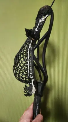 Item thumbnail for item 5593cf83-7f60-4154-b179-6d02af036e09