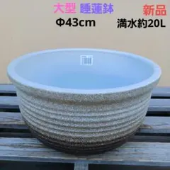 2026年最新】水鉢 大型の人気アイテム - メルカリ