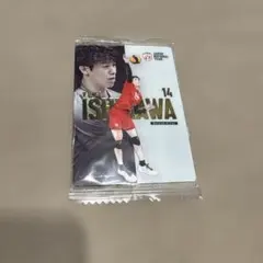 バレーボール男子日本代表 石川祐希 トレーディングカード
