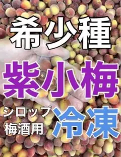 0701❄️クール便「冷凍紫小梅」5kg 青梅系　梅酒　シロップ用(梅干し不可)のサムネイル