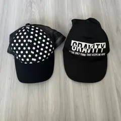 Item thumbnail for item 3888a6f2-d390-4c3c-a78b-cd023ff5289e