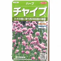 サカタのタネ ハーブ チャイブ 種 - 内容量: 0.9ml（約250粒）2袋