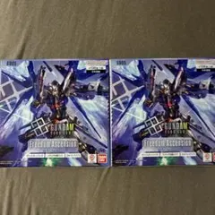 Freedom Ascension GD05テープ付き 2BOX