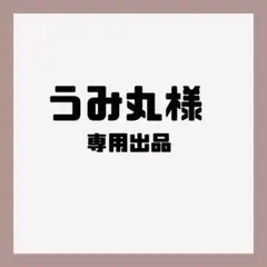 うみ丸様専用出品