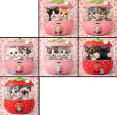 Item thumbnail for item a2b732e1-d967-4e35-a36e-fae8e369d2d8