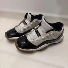 Air jordan11