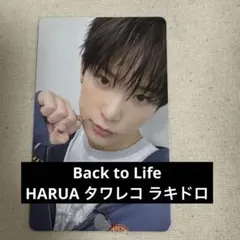 &TEAM HARUA ハルア タワレコ ラキドロ