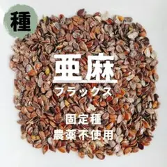 Rumico様 リクエスト 10点 まとめ商品