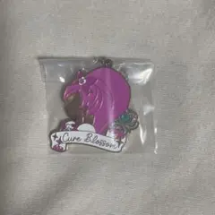 一番くじ プリキュア F賞シルエットメタルチャーム キュアサンシャイン