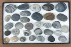 peco様 リクエスト 2点 まとめ商品