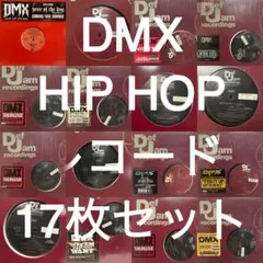 DMX レコード 17枚セット