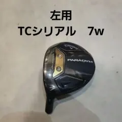 2025年最新】ツアー支給品 パラダイムの人気アイテム - メルカリ