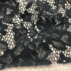 【格安生地】黒地/ブラック・花柄・レース生地・幅110・長300