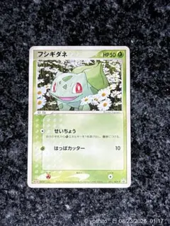 ポケモンカード フシギダネ 明治 051/ADV-P - メルカリ