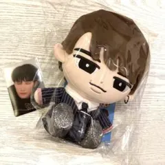 新品未開封 渡辺翔太BIGチルぬい&チラ見カード