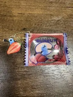 Sunsun アクリルキーホルダー　ガチャガチャ　パペットスンスン