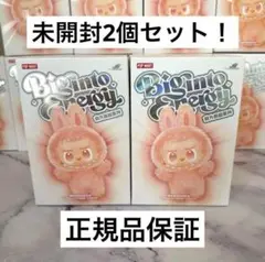 ラブブ　エナジー　新品未開封　2箱セット旧ロット① 確実正規⭐︎ポップマート