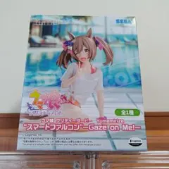 ウマ娘 プリティーダービー Yumemirize 