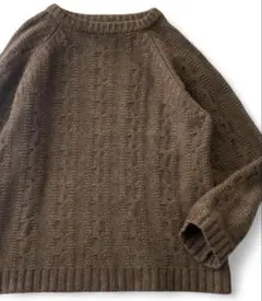 ichi イチ ケーブル編み ウールニット FREE ブラウン ざっくりニット