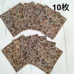 Item thumbnail for item cbf60e4a-3d57-46ed-add3-85657c202ddb