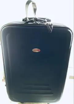 Item thumbnail for item 76793582-22f2-408d-8abb-faf597ceb435