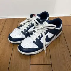 Nike Dunk Low DD1391-400 28.0cm