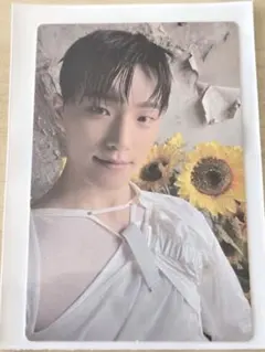 ディノ メンバーシップ トレカ