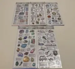 大人の図鑑シール　3D 5種セット売り