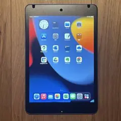 【美品】iPad mini 第5世代 space gray（バッテリー100%）