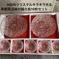 未使用HOYAクリスタルキラキラ光る豆鉢付銘々皿10枚セット