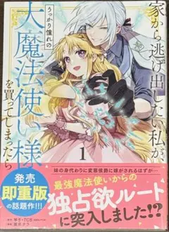 2025年最新】家から逃げ出したい私が、うっかり憧れの大魔法使い様を