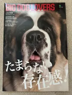 BIG DOG LOVERS エイムック4261