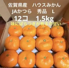 佐賀県産　ハウスみかん　JAかつら秀品　L 12コ　1.5kgのサムネイル