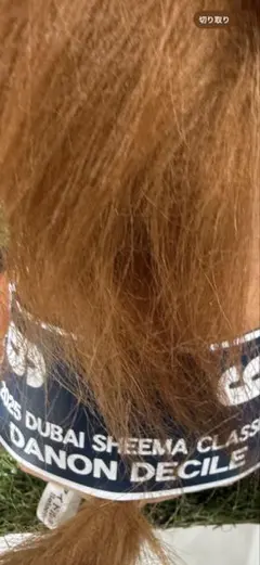 ドバイシーマクラシック　ダノンデサイル　アイドルホース　ぬいぐるみ　Mサイズ