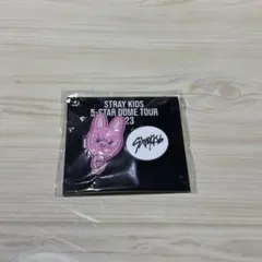 2025年最新】straykids バンチャン 缶バッジの人気アイテム - メルカリ