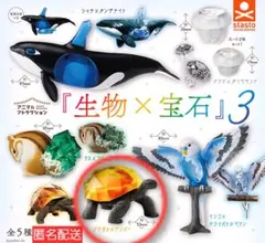 アニマルアトラクション 生物×宝石 ゾウガメ×アンバー