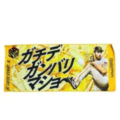 Item thumbnail for item 33eeb8ec-8199-43cb-b781-31a6521fc0f9