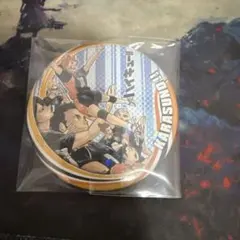 ハイキュー‼︎ コレクション缶バッジ　第6弾 烏野高校　レア シークレット