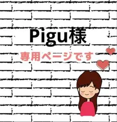 Pigu様 オプション
