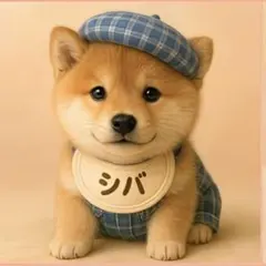 ぷーぷる様 リクエスト 3点 まとめ商品