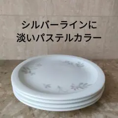 中皿プレート　お皿 淡いパステル カラー 　シルバーライン 　おしゃれ