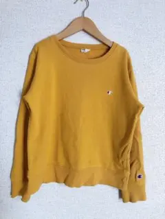 チャンピオン 150 トレーナー