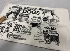 Item thumbnail for item e875aee2-d7f7-4255-b281-c175c95d7139