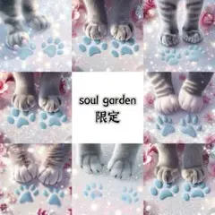 soul garden 12
